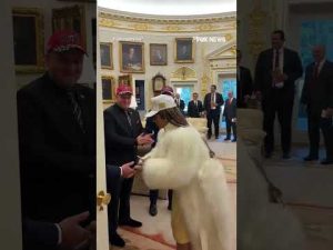 Read more about the article WATCH: Nicki Minaj STUNS auto workers with surprise visit in Oval Office #shorts #foxnews #trump
