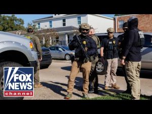 Read more about the article JUST IN: HUNDREDS of criminal migrants arrested in red state crackdown