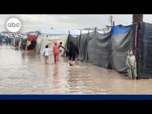 Read more about the article US urges Israel and Hamas to enter second phase of ceasefire in Gaza