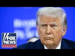 Read more about the article THIS is what Trump is up against: Lisa Boothe