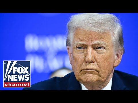 You are currently viewing THIS is what Trump is up against: Lisa Boothe