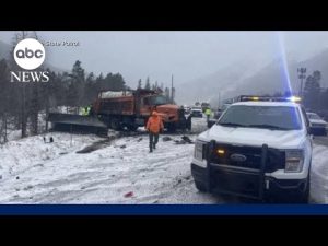 Read more about the article At least 85 deaths reported as bitter cold grips South in wake of winter storm