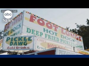 Read more about the article Fun at the fair: Inside an Iowa tradition