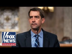 Read more about the article Sen. Cotton: The US military is the ONLY one that could pull this off