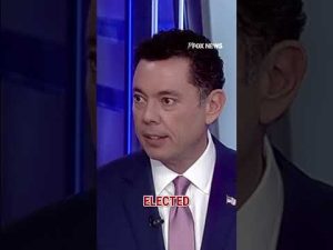 Read more about the article ‘WE DON’T CARE ABOUT YOU’: Critic argues what Dems say ‘at their own peril’ #shorts #democrats #fox