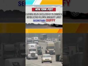 Read more about the article Newsom WARNED after delaying migrant CDL cancellations #us #newsom #shorts #foxnews