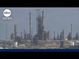 Read more about the article Petroleum analyst: ‘Venezuela has infinite potential’