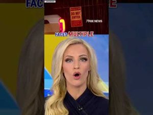 Read more about the article ‘Crazy person’ CAUGHT after attempted break-in at VP JD Vance’s home #shorts #jdvance #breakingnews