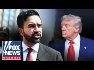 Read more about the article ‘CRAZY’: Mamdani aide’s video catches Trump official’s attention