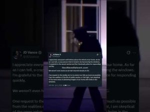 Read more about the article A Leftist Just Tried To Attack JD Vance