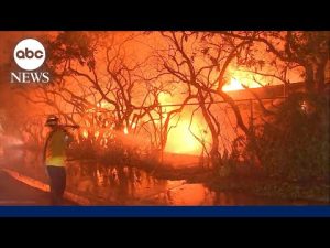 Read more about the article Families try to find hope 1 year after the devastating LA wildfires