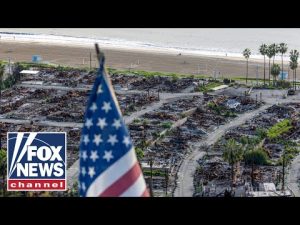 Read more about the article LIVE: How businesses are rebuilding one year after the devastating LA wildfires