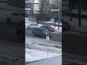 Read more about the article WARNING — GRAPHIC CONTENT: Video shows another angle of the fatal ICE-involved shooting #shorts