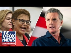 Read more about the article ‘SMOKING GUN’: LA ‘let it burn’ policy UNCOVERED after wildfire disaster