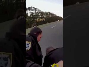 Read more about the article WATCH: Police arrest convicted sex offender and save missing child