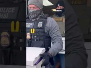 Read more about the article JUST IN: ‘Mountains of evidence’ retrieved in alleged Minnesota fraud #shorts #foxnews #news #us