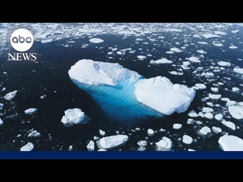 You are currently viewing US withdrawal from global groups signals departure from world leadership: Expert