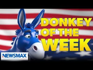 Read more about the article ‘Donkey of the Week’: Frey, Willis, Schumer? | The Right Squad