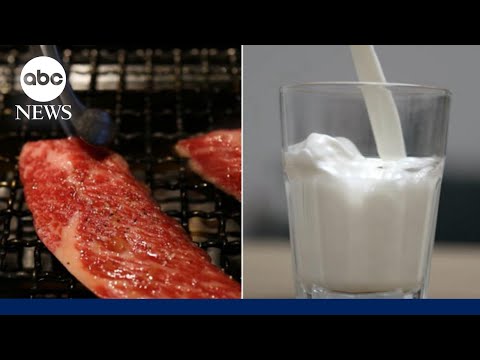 You are currently viewing New dietary guidelines: More protein, less sugar