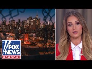 Read more about the article ‘DANGEROUS city’: Tomi Lahren on new leadership in NYC