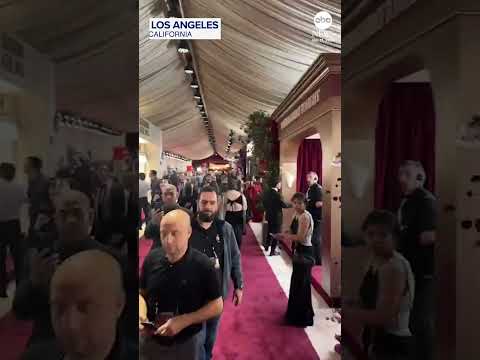 Read more about the article Timelapse footage from the 83rd annual Golden Globes