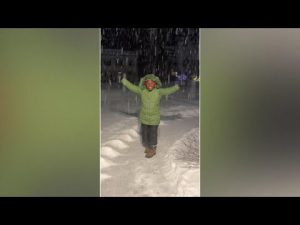 Read more about the article Jamaican mom’s 1st experience with snow goes viral