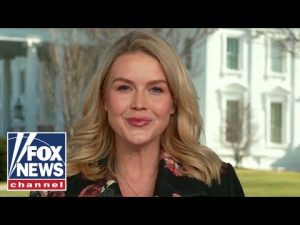 Read more about the article Leavitt sends FIERY message to anti-ICE agitators