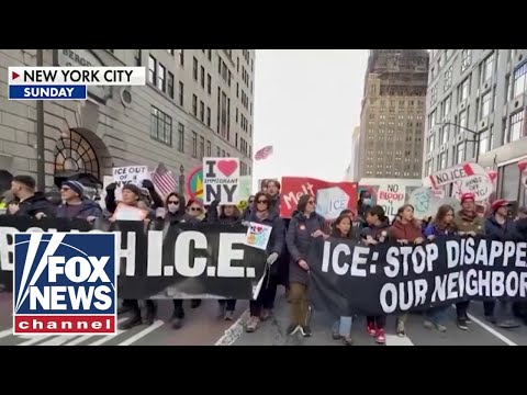Read more about the article THOUSANDS of anti-ICE protesters take to the streets in blue cities