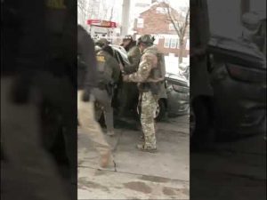 Read more about the article MN Border Patrol, ICE agents BREAK THROUGH car window to make arrest #shorts #foxnews #ICE #news #us