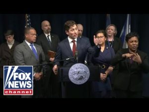 Read more about the article Allegations in Minnesota lawsuit are ‘COMPLETELY FALSE,’ acting ICE director says