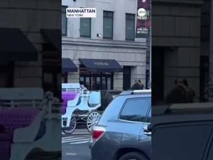 Read more about the article Carriage horse leaves Central Park, runs through New York City streets