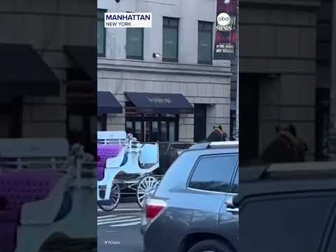 Read more about the article Carriage horse leaves Central Park, runs through New York City streets