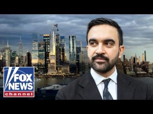 Read more about the article The mayor of NY is a place where ‘political careers go to die,’ says former state senator