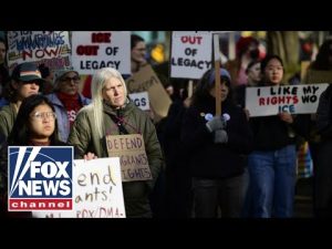 Read more about the article Leftist protestors have lost their mind: Will Cain