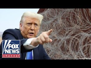 Read more about the article Shocking new border stat from Trump admin: ‘TRULY ASTONISHING’