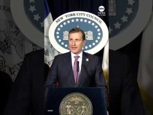 Read more about the article New York City council employee detained by ICE