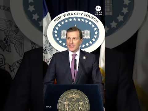 You are currently viewing New York City council employee detained by ICE