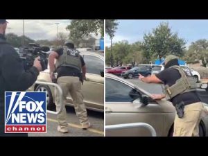 Read more about the article NEW VIDEO: ICE agents RAMMED with car by alleged illegal immigrant