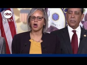 Read more about the article Illinois congresswoman introduces articles of impeachment against DHS Secretary Kristi Noem