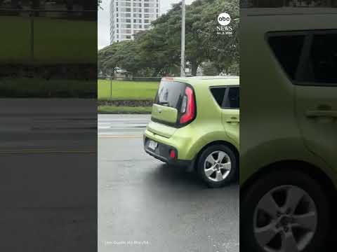 You are currently viewing Rooster crosses the road with ease in Hawaii