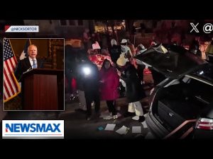 Read more about the article Leftists are creating impossible conditions for ICE: Charles Marino | American Agenda