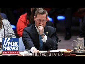 Read more about the article ‘COUNTLESS DEATHS!’: Waltz addresses UN as Iranian regime cracks down on protestors