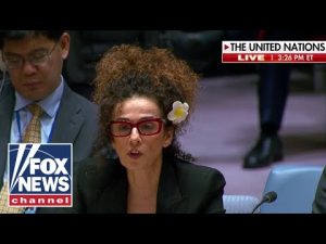 Read more about the article ‘You’ve tried to KILL me 3 times!’: Iranian gov confronted at UN