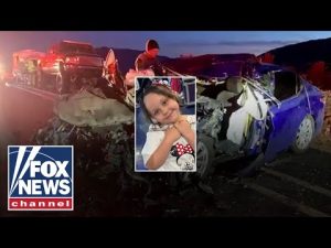 Read more about the article LIVE: Marine’s daughter killed in crash involving illegal migrant accused of DUI murder