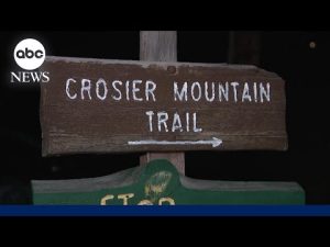 Read more about the article Woman dies in suspected mountain lion attack in Colorado