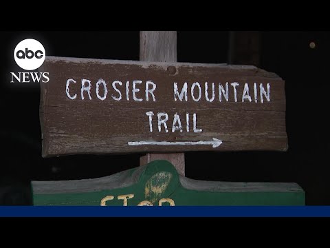 You are currently viewing Woman dies in suspected mountain lion attack in Colorado