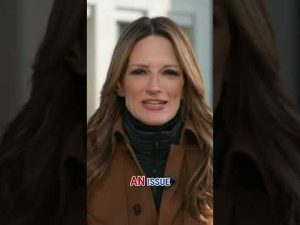 Read more about the article ‘This is so crazy to me’: Criminal defense attorney #shorts #foxnews #us #news