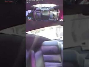 Read more about the article WATCH: Smiling, swinging, and under arrest…