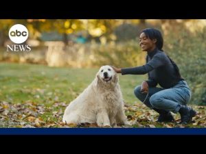 Read more about the article Do pet-friendly policies belong in the workplace?