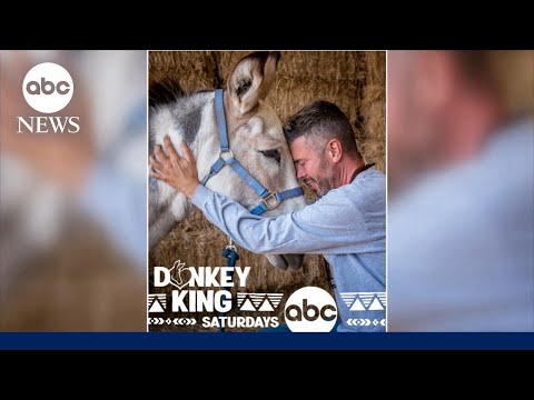 You are currently viewing New docuseries highlights the rescue and rehabilitation of donkeys
